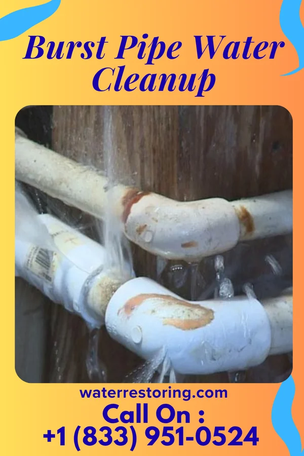 Burst Pipe Water Cleanup in Derry, PA