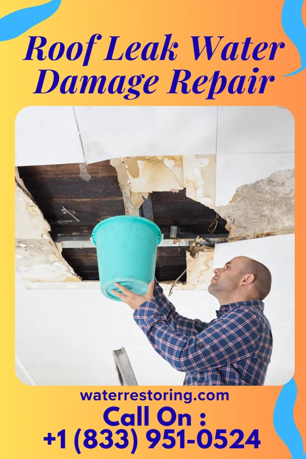 Roof Leak Water Damage Repair in Derry, PA