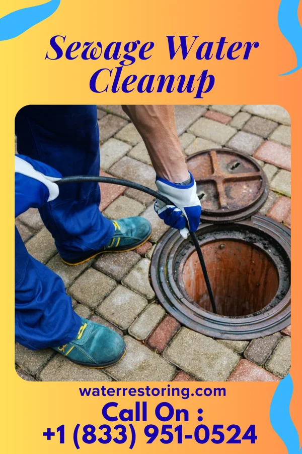 Sewage Water Cleanup in Derry, PA
