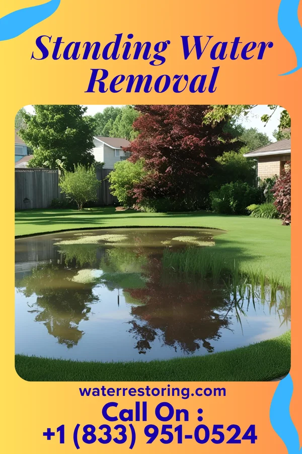 Standing Water Removal in Derry, PA